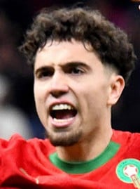 نائل العيناوي