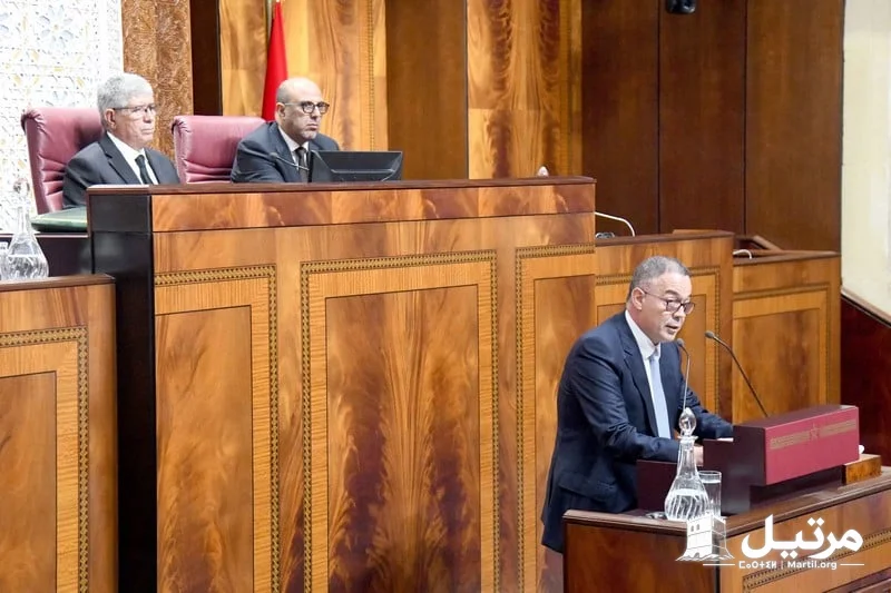 لقجع: مجانية فاتورة الكهرباء أقل من 100 درهم شهريا تنطلق في يناير 2027