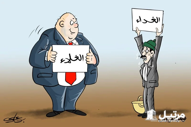 تخفيض الضرائب والدعم المباشر.. هل تنجح "مالية 2027" في تخفيف الغلاء؟