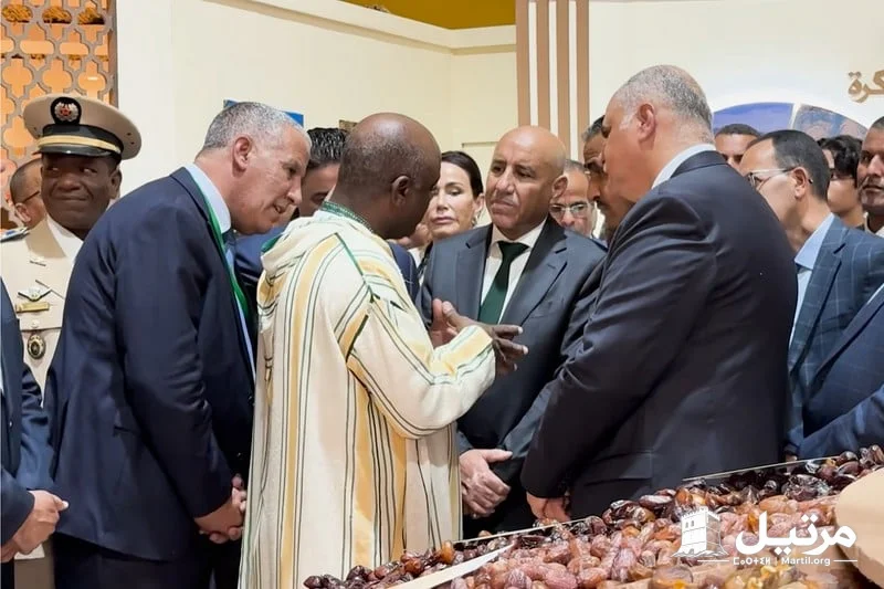 وزير الفلاحة: لا يمكن استيراد التمور من أي بلد دون مراعاة مصالح المغرب