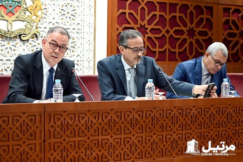 لقجع يكشف تفاصيل تخفيض الضريبة على الدخل لفائدة 5 ملايين أجير